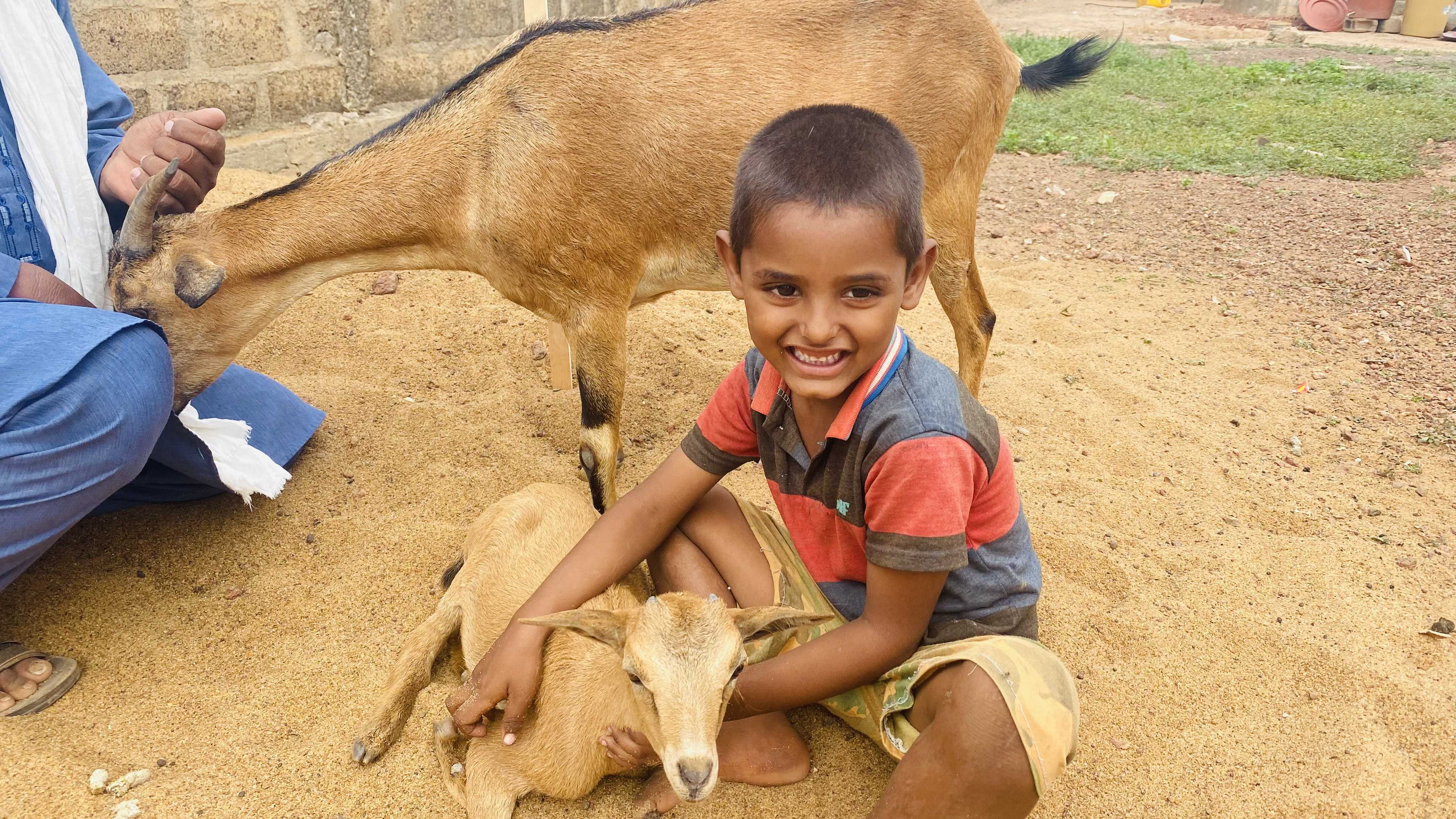 منيحة العنز - مالي