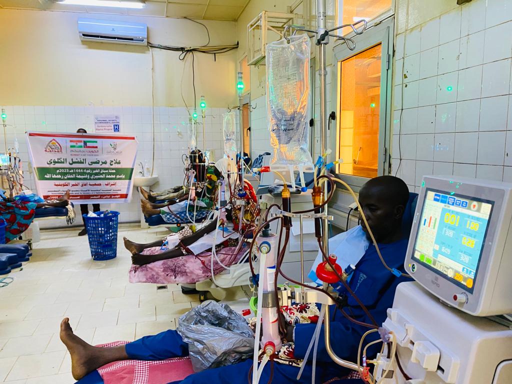 الفشل الكلوي - النيجر