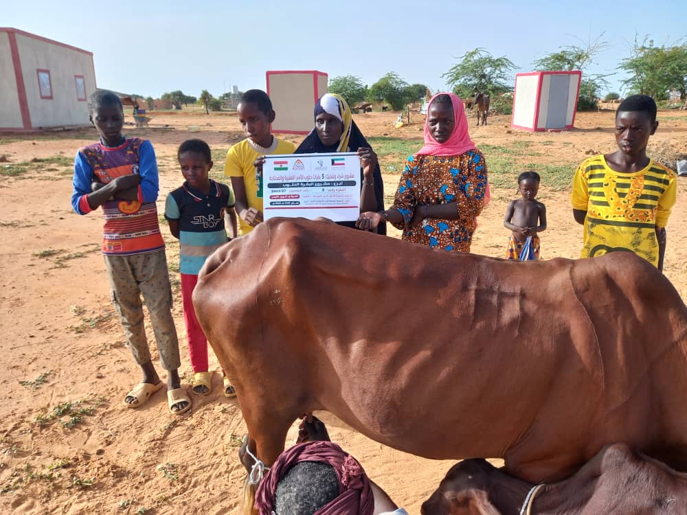 بقرة حلوب - النيجر