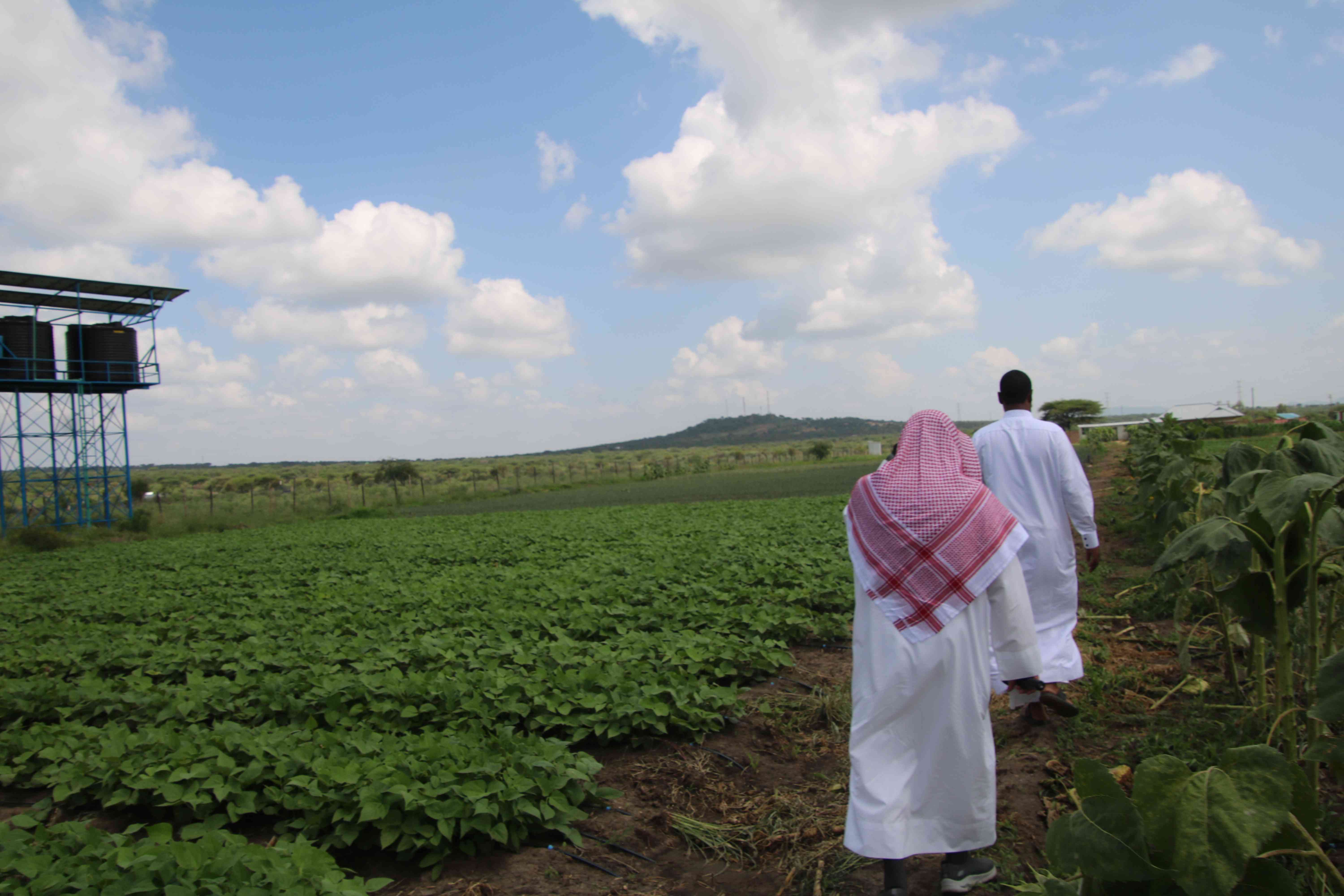 شراء مزرعة نوال تركي السبع
