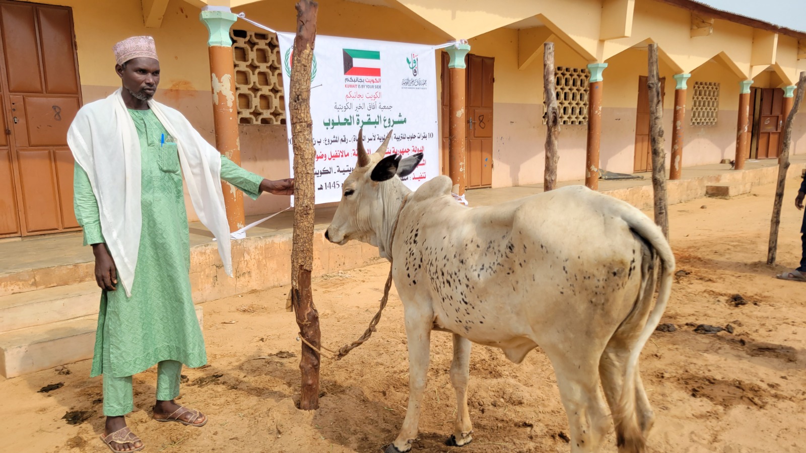 شراء بقره اضحية لمسجد فاطمة الربيع وفوزية عثمان